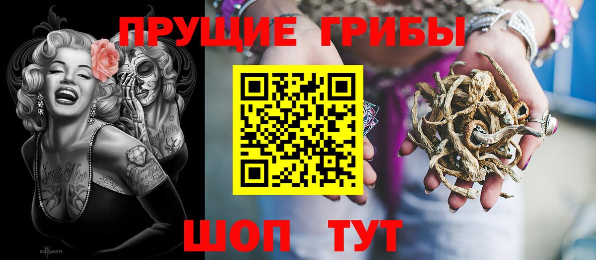 купить наркотики цена  Вход с VPN  Златоуст  Псилоцибиновые грибы мицелий  Галлюциногенные грибы прущие грибы 
