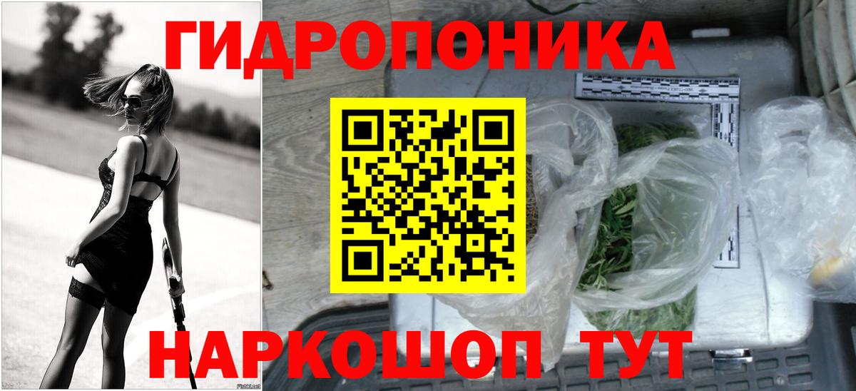 Каннабис OG Kush Златоуст